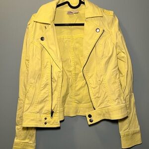 yellow jacket